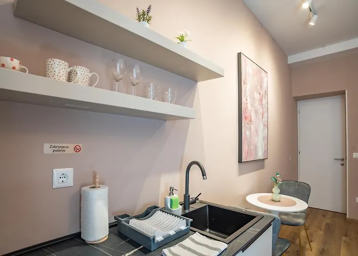 Center De Lux “ Zara “ Apartament *